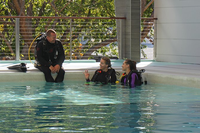 Quicksilver Dive 4 Day PADI Learn to Dive Course - Six reef sessions across two outer-reef days