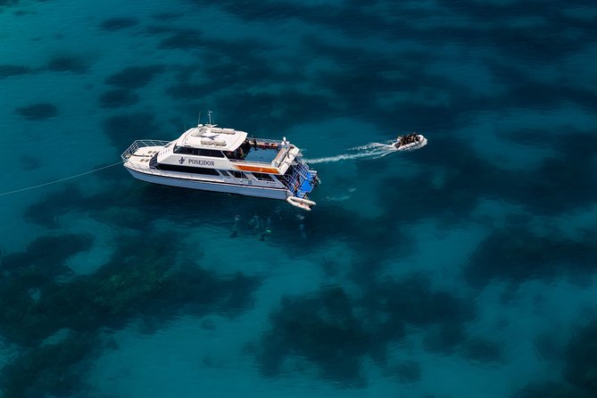 Quicksilver Dive 4 Day PADI Learn to Dive Course - Who should choose this course