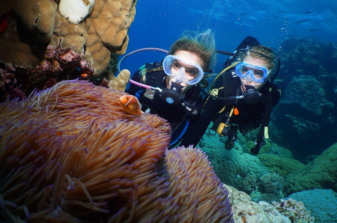 Quicksilver Dive 4 Day PADI Learn to Dive Course - Is the Great Barrier Reef setting worth it?