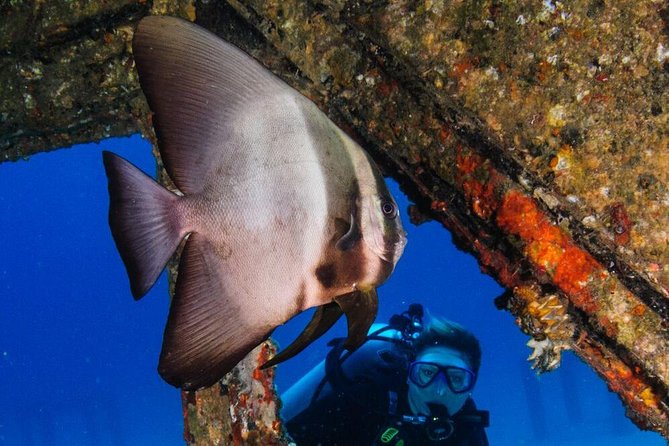 Racha Noi and Racha Yai Dive Trip from Phuket - The guide ratio and customer care