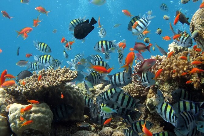 RAID Try-Dive Experience in Kota Kinabalu - The boat ride to Tunku Abdul Rahman Marine Park