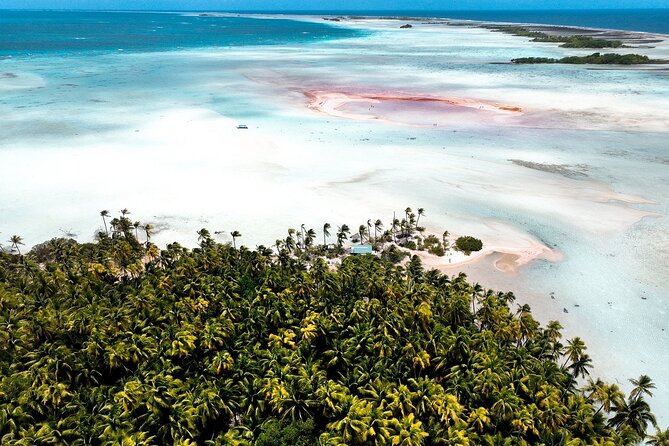Rangiroa 2-tank Certified Scuba Dive - Why Rangiroa is such a special place for scuba