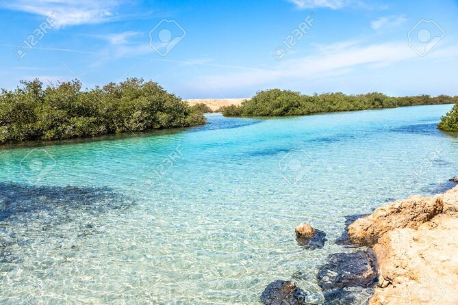Ras Mohamed and White Island Snorkeling Trip and One Stop Diving-Sharm El Shiekh - Four things to know before booking