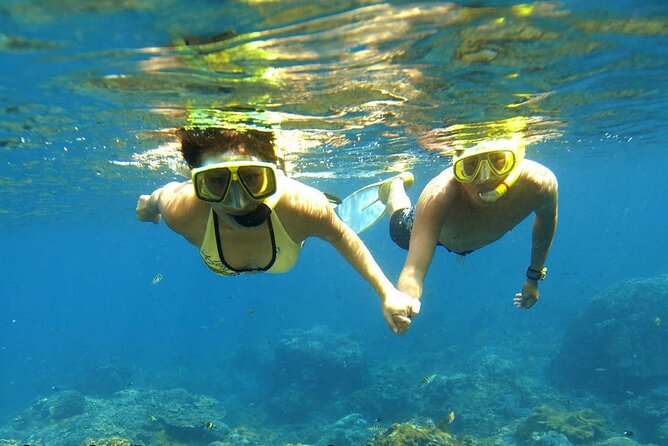 Ras Mohamed and White Island Snorkeling Trip and One Stop Diving-Sharm El Shiekh - White Island is brief, strange, and worth seeing