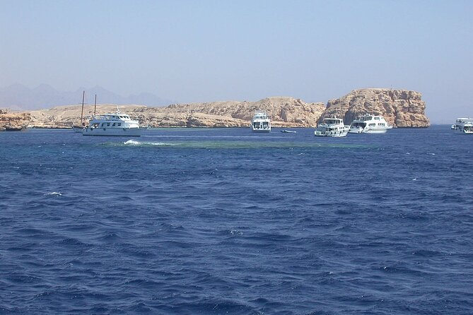 Ras Mohamed and White Island Snorkeling Trip and One Stop Diving-Sharm El Shiekh - Who will enjoy this trip most
