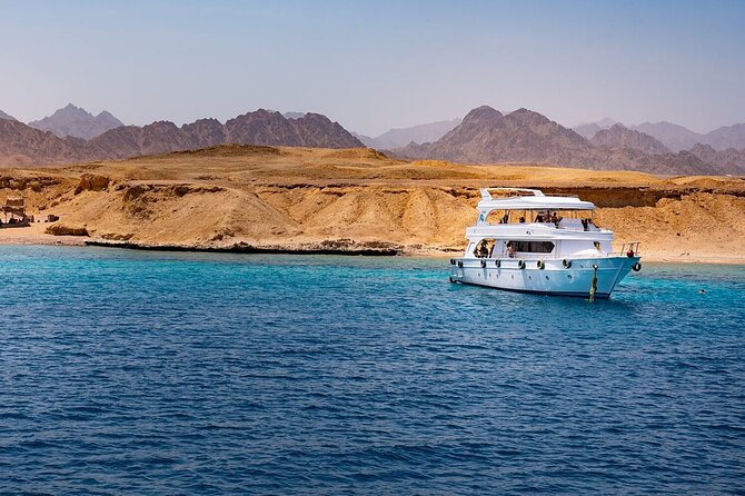 Ras Mohamed and White Island Snorkeling Trip and One Stop Diving-Sharm El Shiekh - Ras Mohamed, where the day earns its price