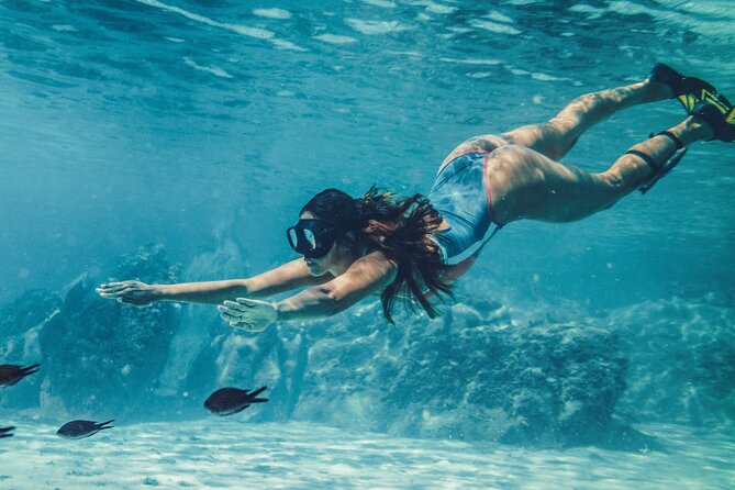 Ras Mohamed & White Island, Snorkeling & Diving - Sharm el sheikh - The boat ride and two snorkeling stops