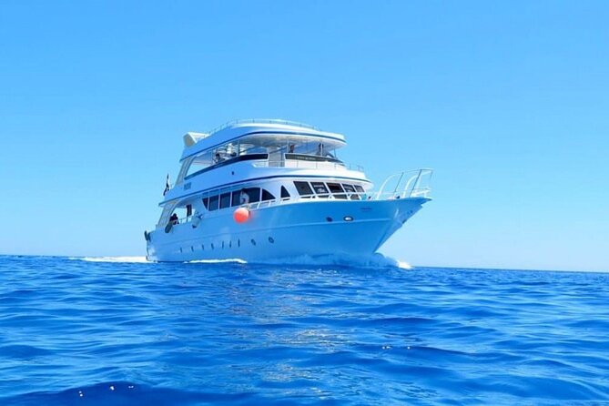 Ras Mohamed & White Island, Snorkeling & Diving - Sharm el sheikh - Is $28 good value?
