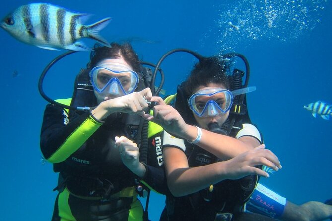 Ras Mohamed & White Island, Snorkeling & Diving - Sharm el sheikh - The up-to-15-minute scuba session