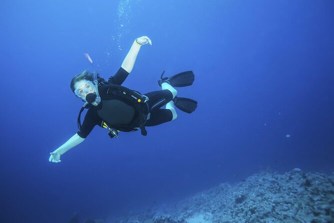 Ras Mohamed, White Island Trip, Two Stops Diving -Sharm El Sheikh - What the price means at $5 per person