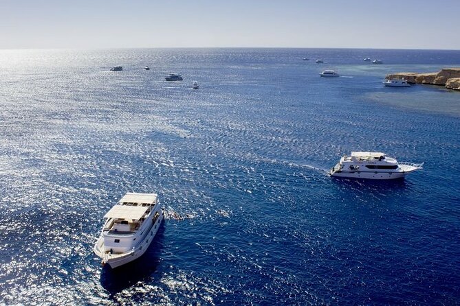 Ras Mohammed Diving & White Island Luxurious Cruise with Lunch - Why Ras Mohammed deserves the first stop