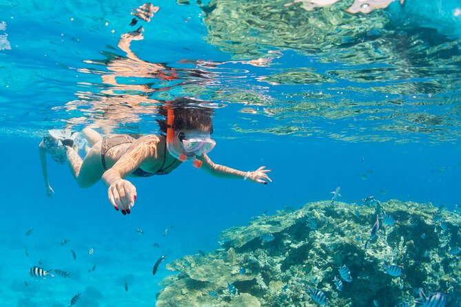 Ras Mohammed Diving & White Island Luxurious Cruise with Lunch - Price, added fees, and overall value