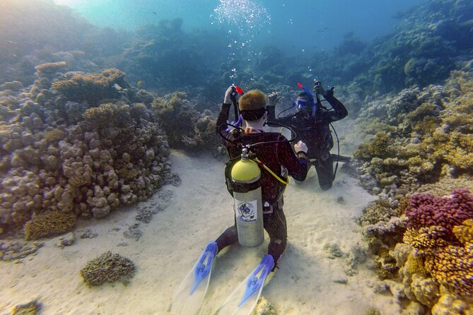 Red Sea Diving Trip from Hurghada: Beginner to Advanced Divers - Boat lunch, drinks, and downtime