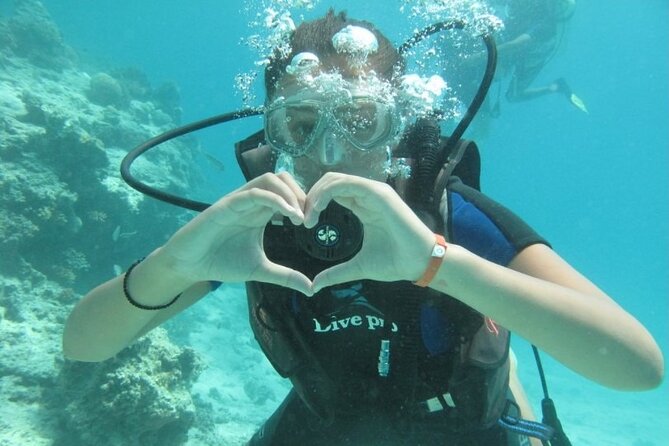 Red Sea Diving Trip from Hurghada: Beginner to Advanced Divers - The second site and the time between sessions