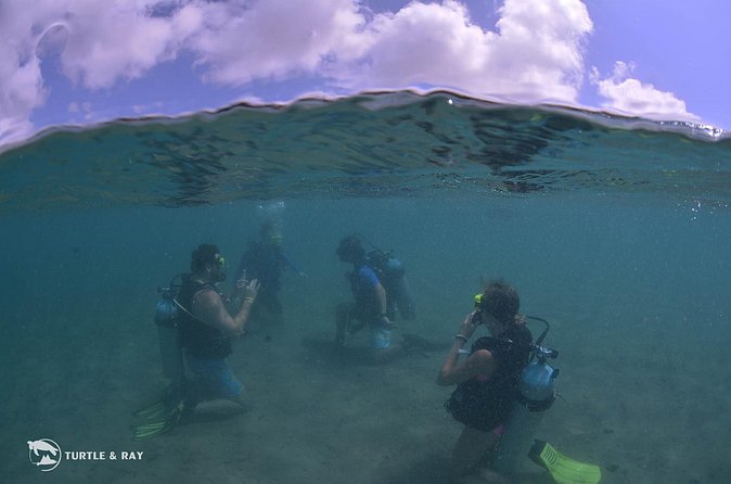 Refresher Dive - Why the Four-Person Limit Helps