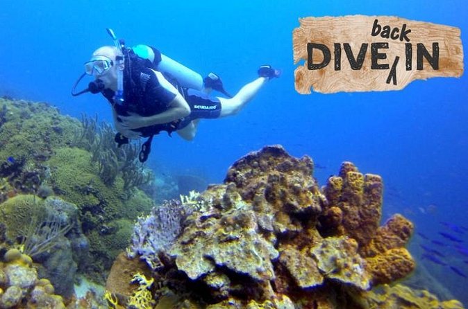 Refresher Dive - What I Like Most About the Instructor Support