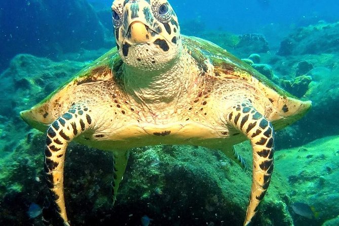 Refresher scuba diving trip, 3 dives at Racha Noi and Racha Yai - Food, Drinks, and the Long Day at Sea