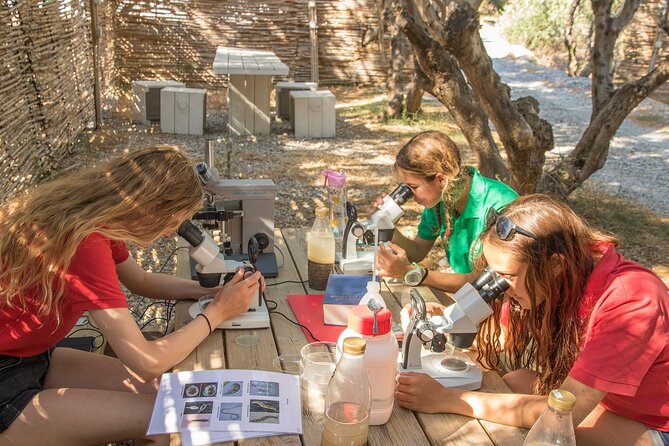 Research diving with a Marine Biologist in Crete - The open-air lab and microscope session