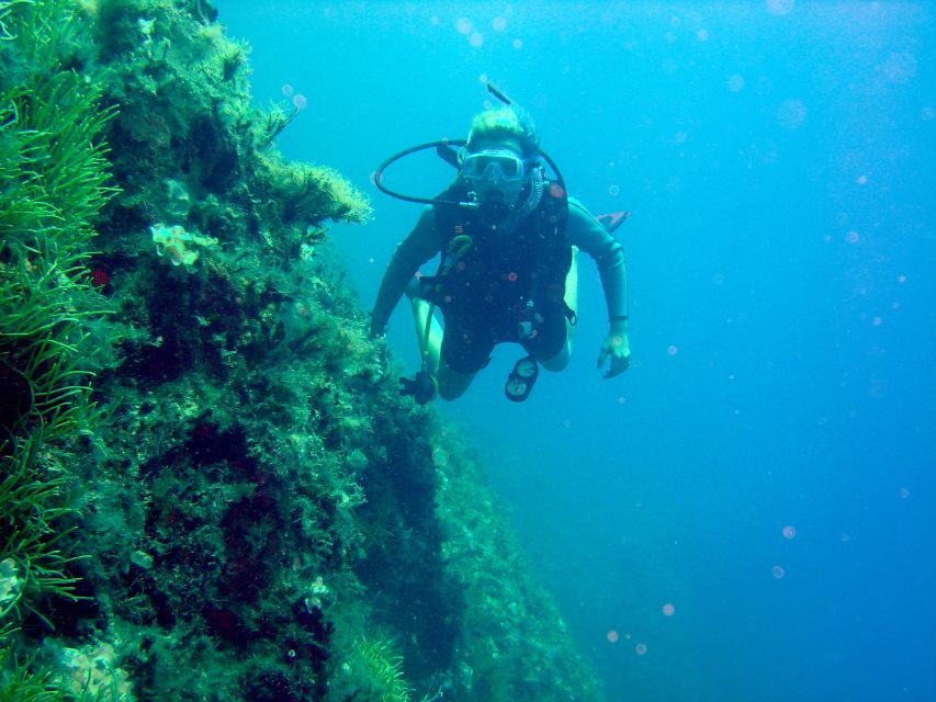 Rhodes: Diving Adventure for Beginners and Experts - Key points to know before booking