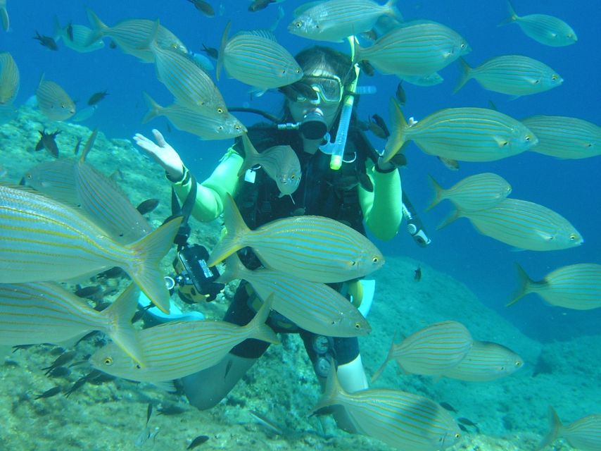 Rhodes: Diving Adventure for Beginners and Experts - What the Rhodes scuba day is really like