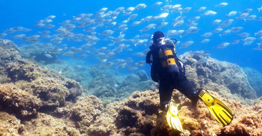 Rhodes: Diving Adventure for Beginners and Experts - Why beginners feel looked after