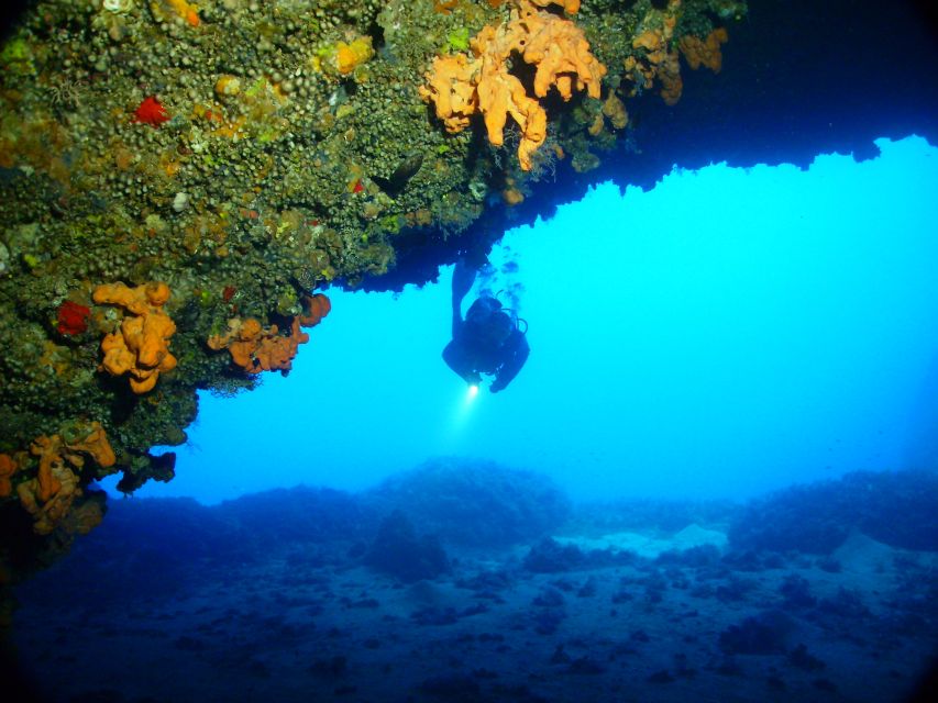 Rhodes: Diving Adventure for Beginners and Experts - Is $82 good value?