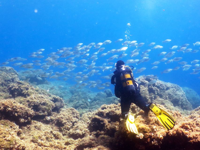 Rhodes: Diving Adventure for Beginners and Experts - The trip to Kalithea and the four-hour water session