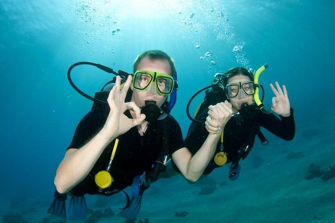 Rhodes Scuba Diving Experience - A first taste of scuba in Rhodes