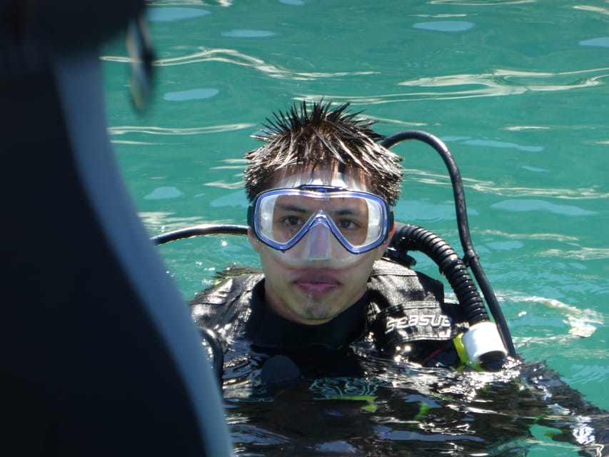 Rio: Best Dive Experience All Inclusive Scuba Diving Package - Who will enjoy this Rio day trip most?