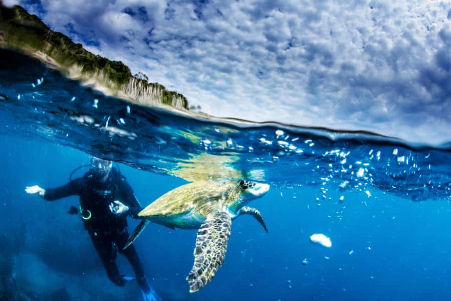 Rio de Janeiro: Arraial do Cabo Scuba Diving Day Trip - One tank for beginners, two for certified users