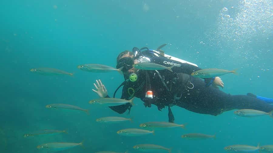 Rio de Janeiro: Arraial do Cabo Scuba Diving Day Trip - Lunch and the afternoon return