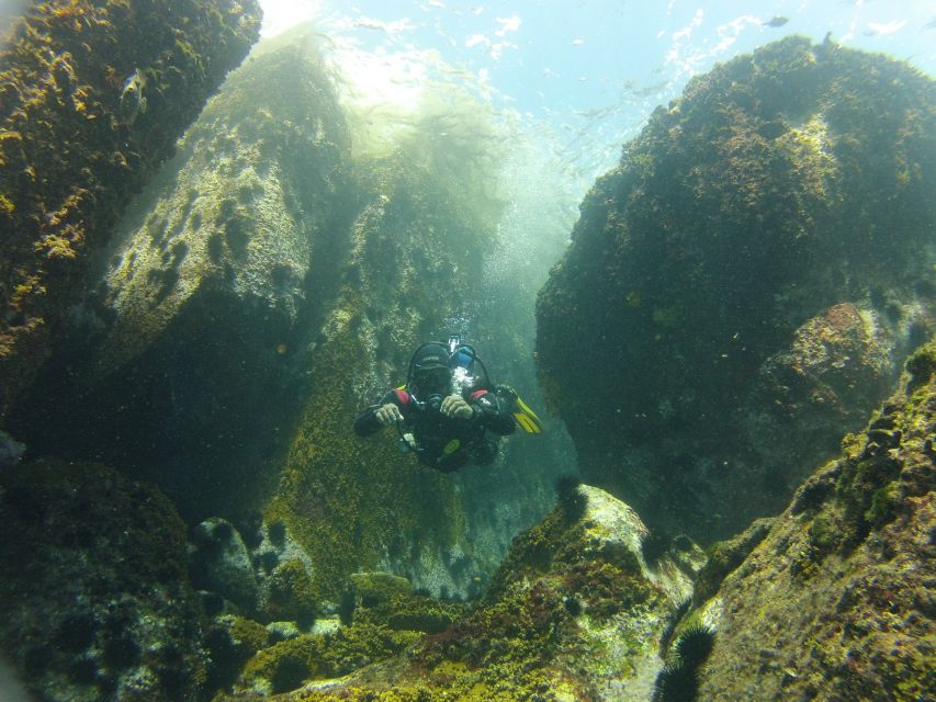 Rio de Janeiro: Arraial do Cabo Scuba Diving Day Trip - How much value do you get for $255?