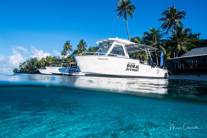 Romantic Dive for beginners in Bora Bora (2 people) with Video - The video makes the short session more memorable