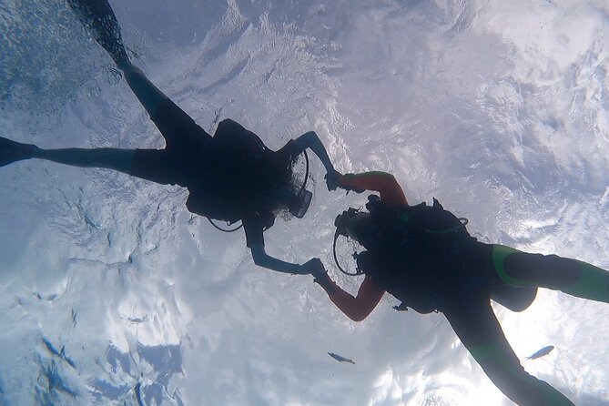 Romantic Dive for beginners in Bora Bora (2 people) with Video - A black pearl with the memories