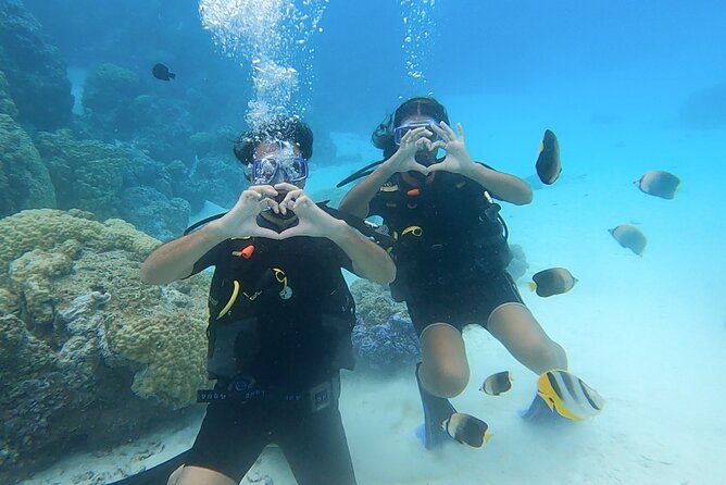 Romantic Dive for beginners in Bora Bora (2 people) with Video - The first lesson: equipment, breathing, and confidence