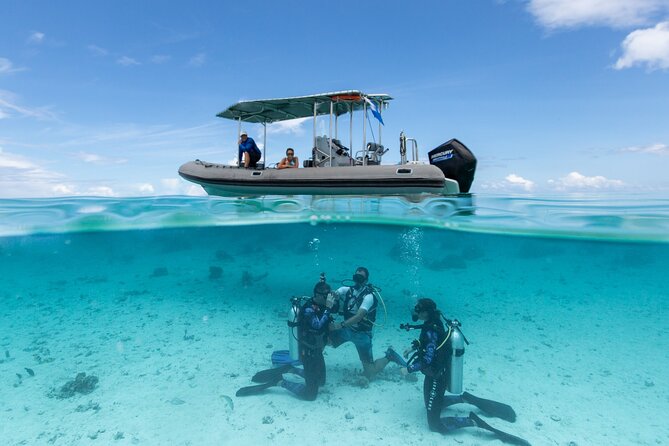 Romantic dive in the lagoon of Bora Bora. Private instructor on a shared boat - Why this Bora Bora lagoon outing feels personal