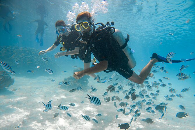 Romantic dive in the lagoon of Bora Bora. Private instructor on a shared boat - Finding the black pearl