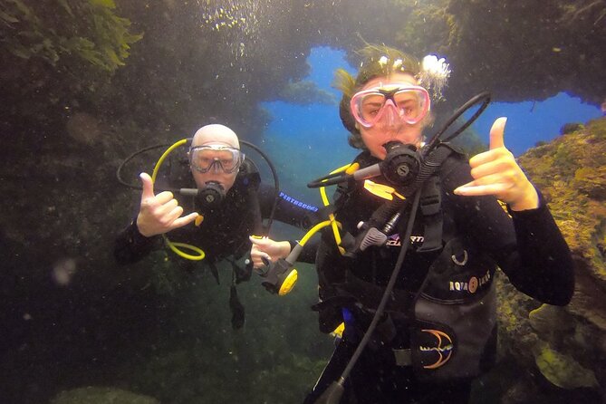 Rottnest Island Boat Dive Day Trip including Lunch - Why Rottnest works so well for underwater exploring