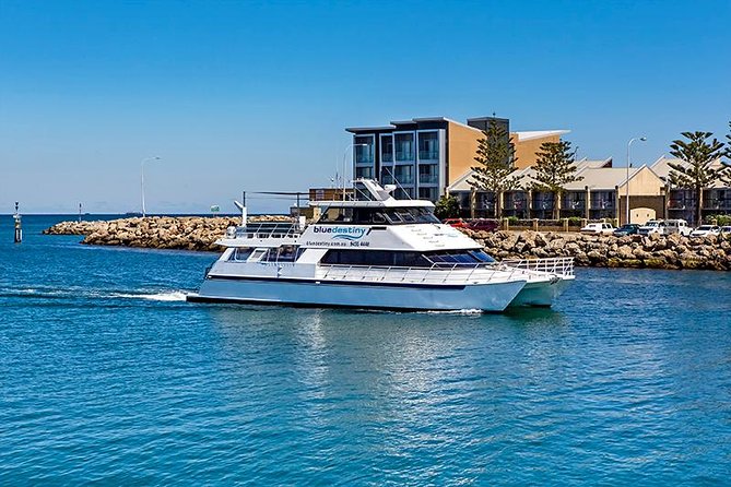 Rottnest Island scuba dive tour - What makes this Rottnest outing worth considering