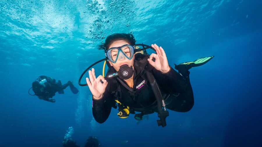S. Tenerife: 2 Dives for Beginners (Beach + Boat Experience) - The first underwater session in Los Cristianos