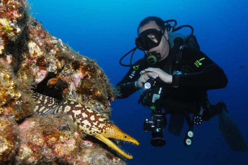 S Tenerife: Guided Boat Dive for Qualified Divers - From Playa de las Américas to the harbour