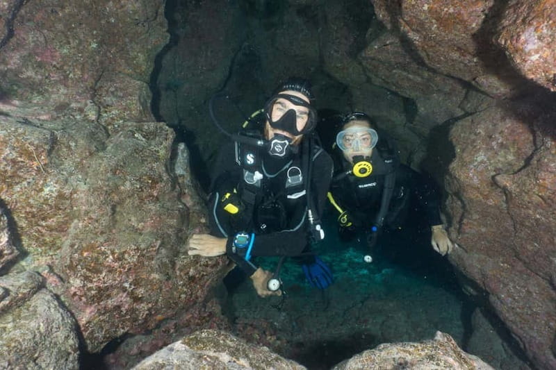 S Tenerife: Guided Boat Dive for Qualified Divers - A schedule built for certified divers