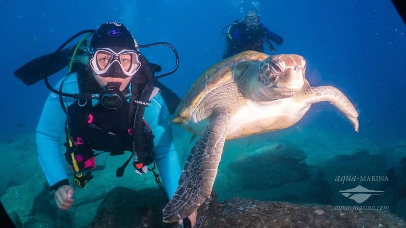 S Tenerife: Guided Boat Dive for Qualified Divers - The staff and equipment make the difference