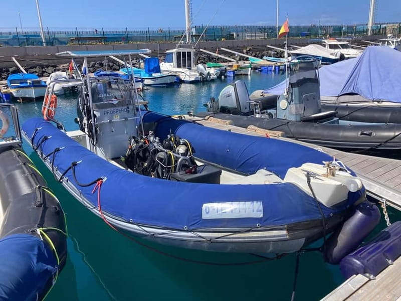 S Tenerife: Guided Boat Dive for Qualified Divers - Who should book this boat outing