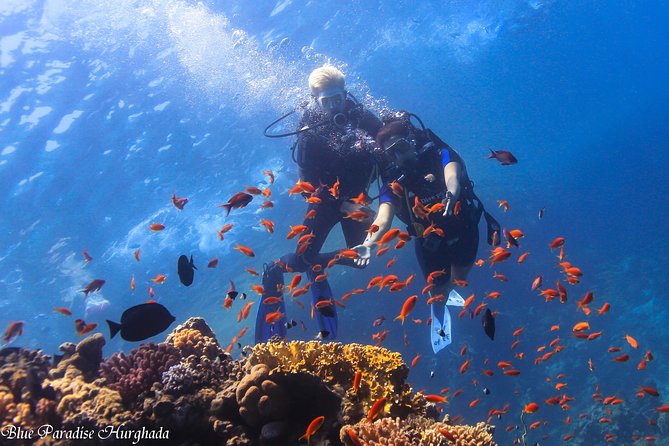 Safe Try dive-Personal instructor, 1:1 experience, Top boat - Getting ready with the equipment
