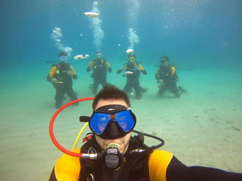 Salou: Fun Scuba Dive with Instructor (No License Needed) - What this Salou activity actually offers