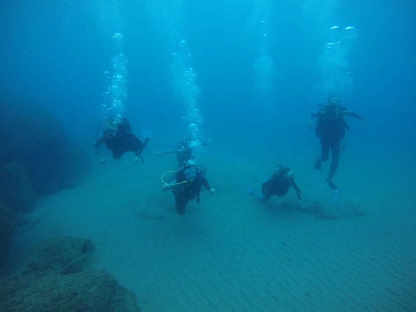 Salou: Scuba Diving for Beginners - What the $100 price includes