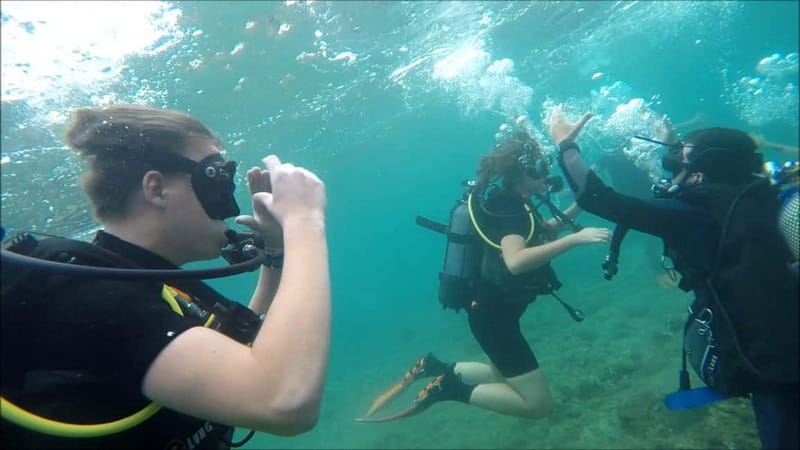 Salou: Scuba Diving for beginners with hotel pickup - Pickup from Salou, Cambrils, and La Pineda
