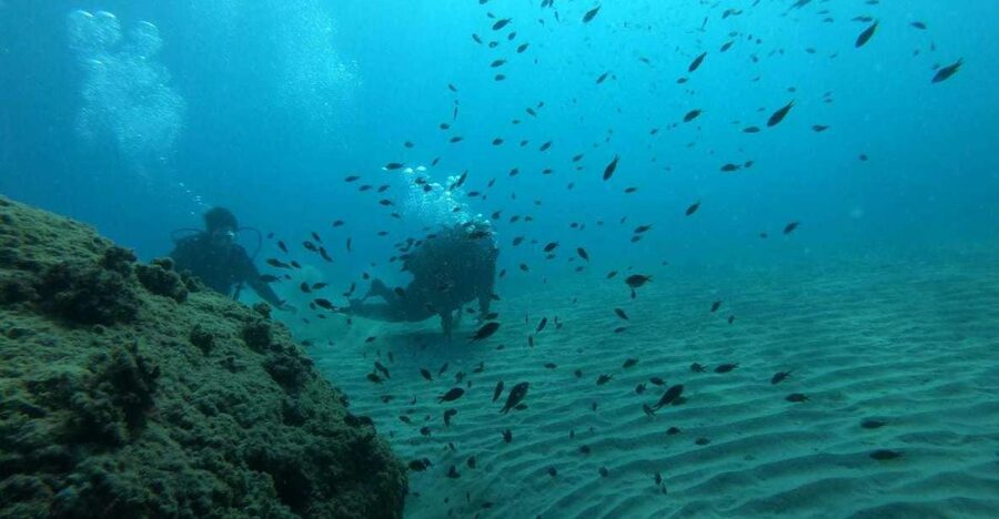 Salou: Scuba Diving for Beginners - Hotel pickup makes the morning easier