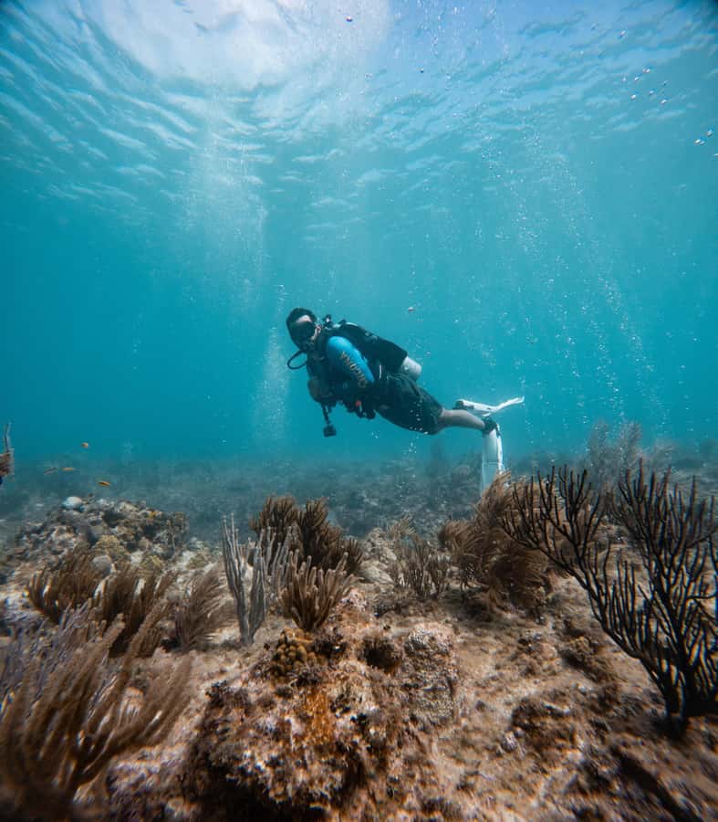 San Andres: Scuba Diving Experience with Hotel Pickup - Who should book this experience